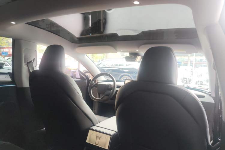 Used Tesla Model 3 2023 Long-Range All-Wheel-Drive Version Headliner