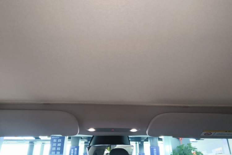 Used Tesla Model 3 2023 Rear-Wheel-Drive Version Headliner