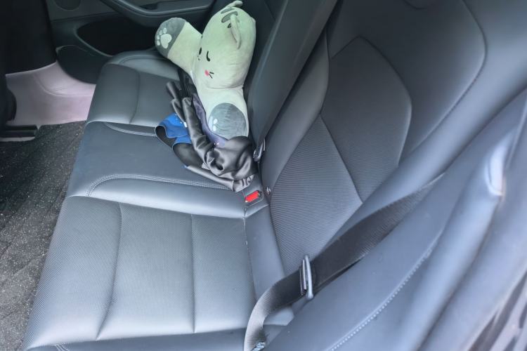 Used Tesla Model 3 2023 Rear-Wheel-Drive Version Left Rear Seat