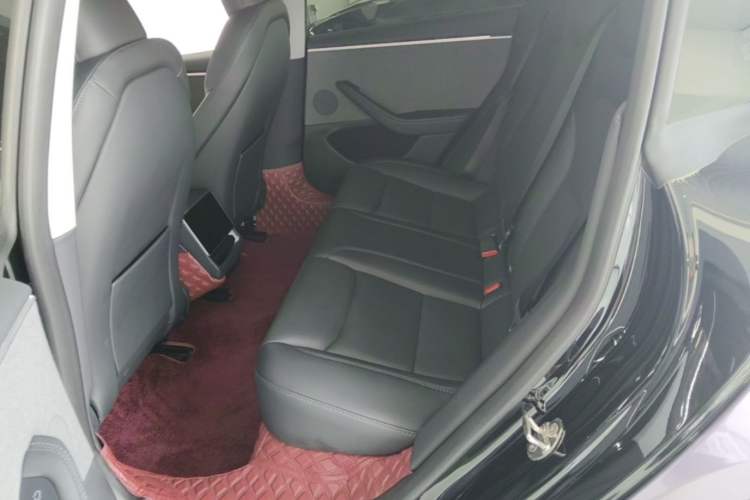 Used Tesla Model 3 2023 Rear-Wheel-Drive Version Left Rear Seat