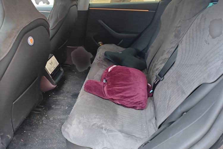 Used Tesla Model 3 2023 Long-Range All-Wheel-Drive Version Left Rear Seat