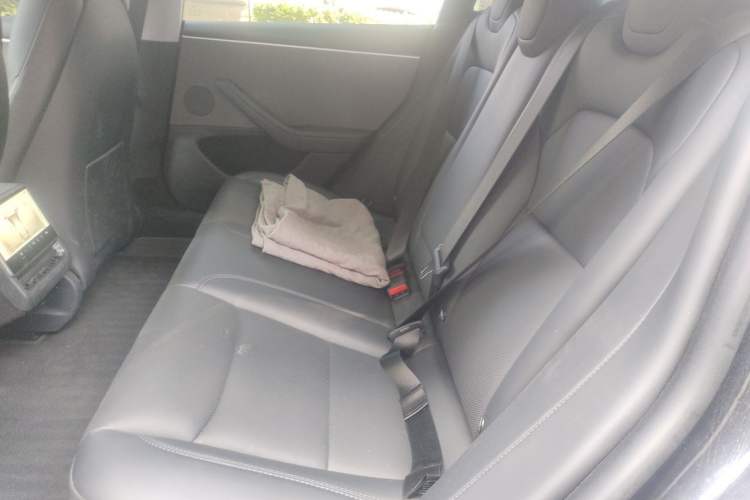 Used Tesla Model 3 2023 Rear-Wheel-Drive Version Left Rear Seat