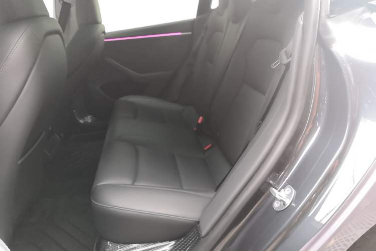 Used Tesla Model 3 2023 Long-Range All-Wheel-Drive Version Left Rear Seat