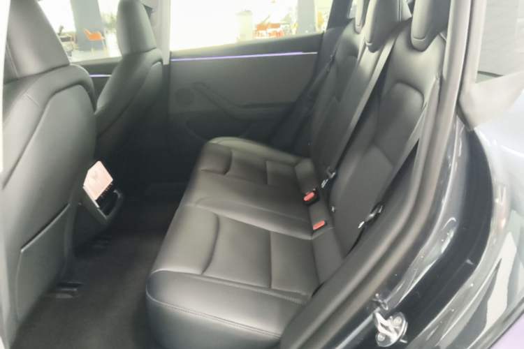 Used Tesla Model 3 2023 Rear-Wheel-Drive Version Left Rear Seat