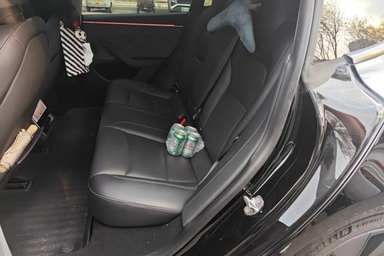 Used Tesla Model 3 2023 Rear-Wheel-Drive Version Left Rear Seat