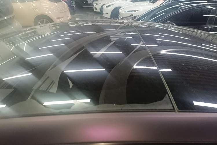 Used Tesla Model 3 2023 Rear-Wheel-Drive Version Roof