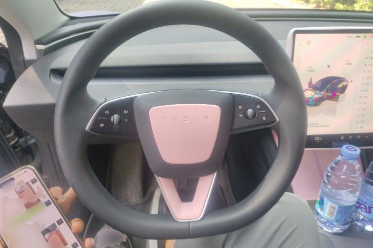 Used Tesla Model 3 2023 Rear-Wheel-Drive Version Steering Wheel