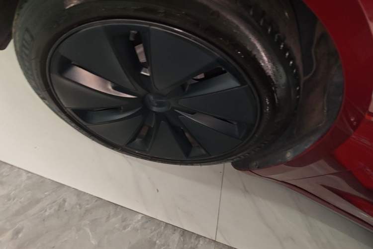 Used Tesla Model 3 2023 Rear-Wheel-Drive Version Exterior 4