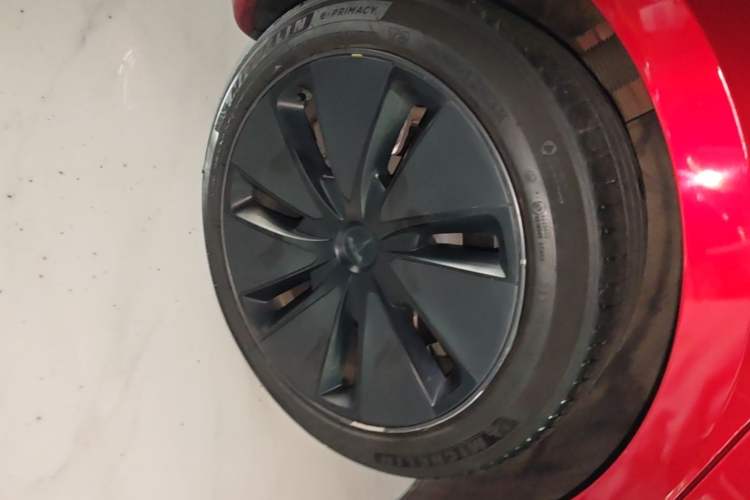 Used Tesla Model 3 2023 Rear-Wheel-Drive Version Exterior 5