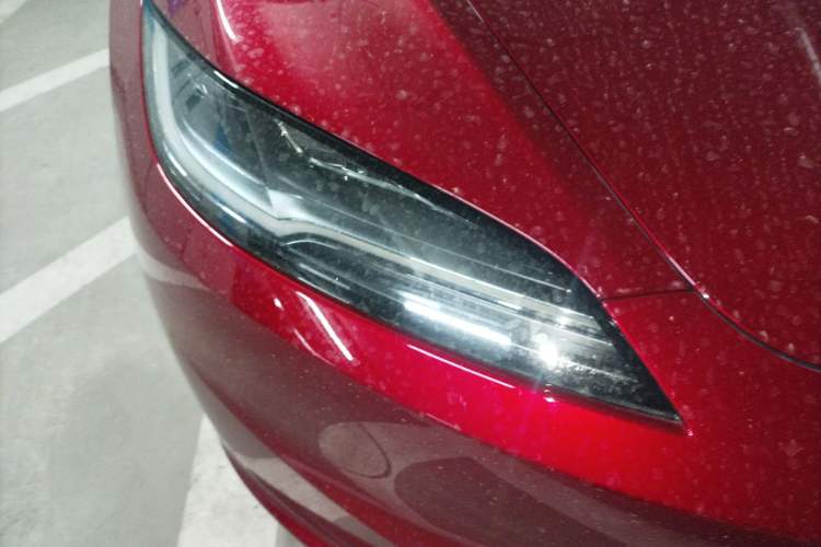 Used Tesla Model 3 2023 Rear-Wheel-Drive Version Exterior 6
