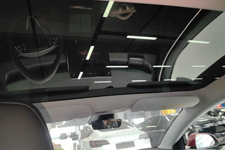 Used Tesla Model 3 2023 Rear-Wheel-Drive Version Headliner