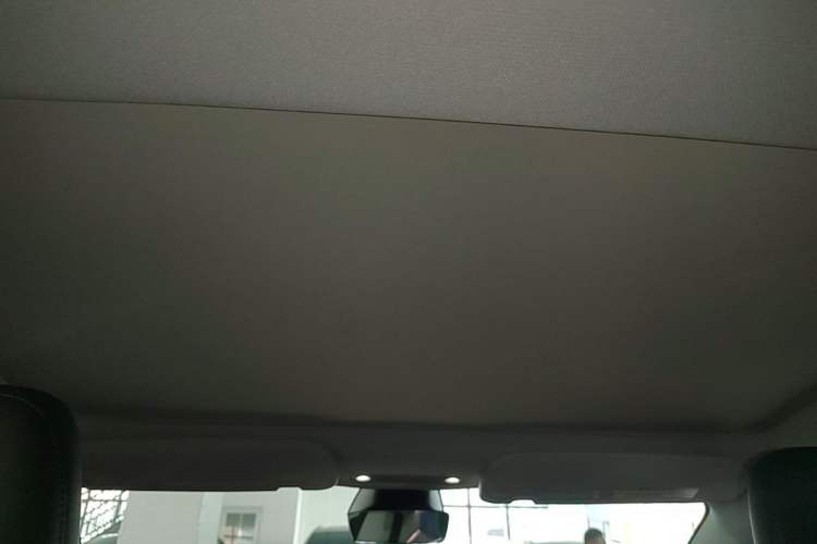 Used Tesla Model 3 2023 Rear-Wheel-Drive Version Headliner
