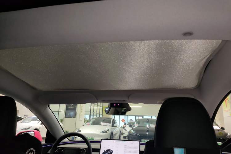 Used Tesla Model 3 2023 Long-Range All-Wheel-Drive Version Headliner