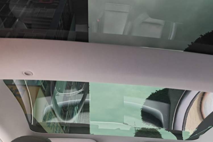 Used Tesla Model 3 2023 Rear-Wheel-Drive Version Headliner