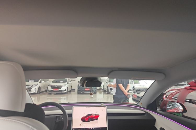 Used Tesla Model 3 2023 Rear-Wheel-Drive Version Headliner