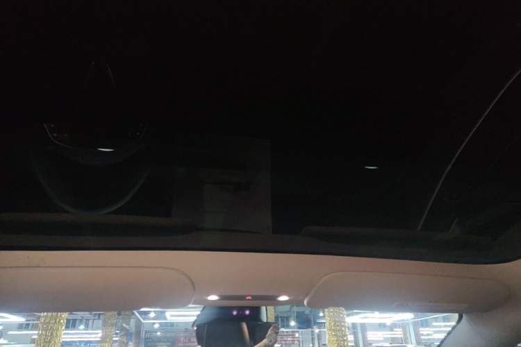 Used Tesla Model 3 2023 Rear-Wheel-Drive Version Headliner