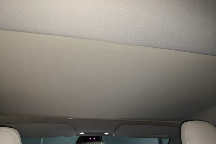 Used Tesla Model 3 2023 Rear-Wheel-Drive Version Headliner