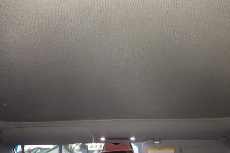 Used Tesla Model 3 2023 Rear-Wheel-Drive Version Headliner