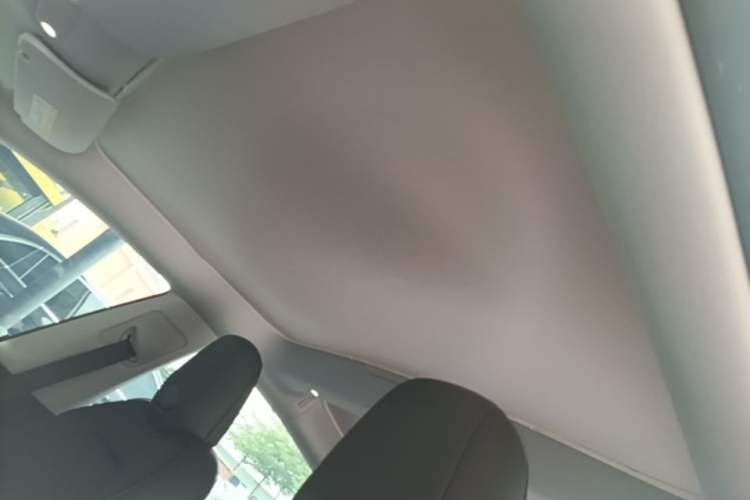 Used Tesla Model 3 2023 Rear-Wheel-Drive Version Headliner
