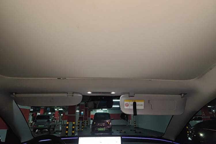 Used Tesla Model 3 2023 Rear-Wheel-Drive Version Headliner