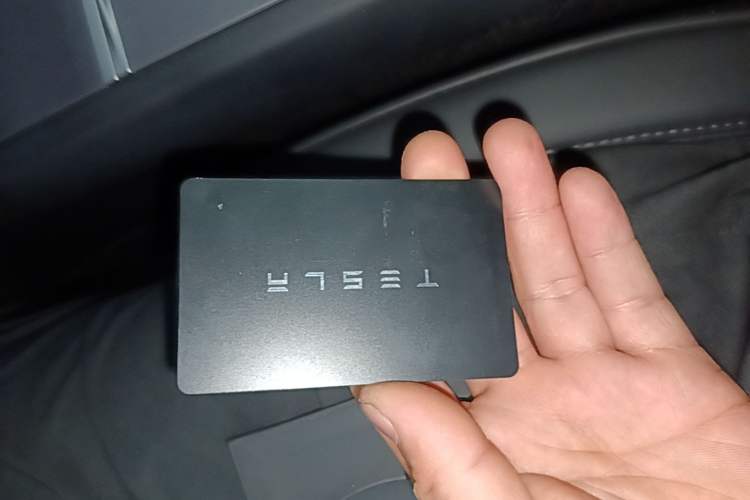 Used Tesla Model 3 2023 Rear-Wheel-Drive Version Interior 1