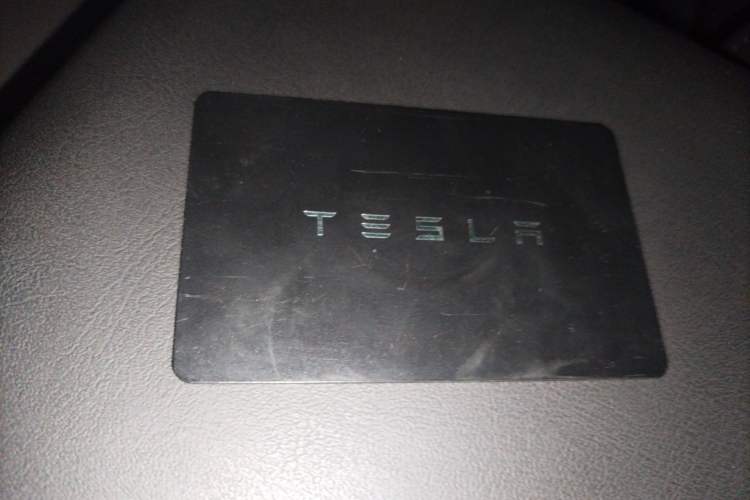 Used Tesla Model 3 2023 Rear-Wheel-Drive Version Interior 1
