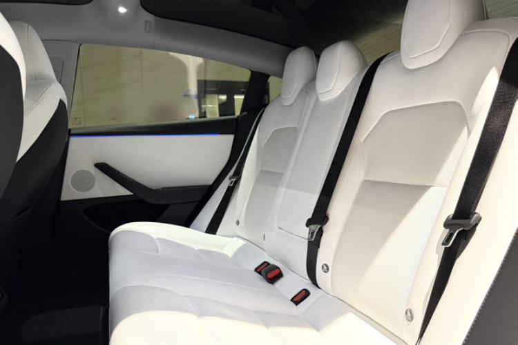 Used Tesla Model 3 2023 Rear-Wheel-Drive Version Interior 6