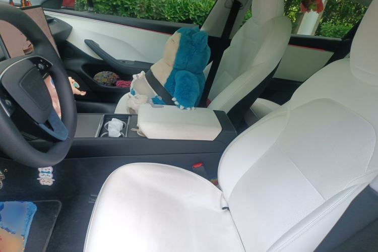 Used Tesla Model 3 2023 Long-Range All-Wheel-Drive Version Left Front Seat