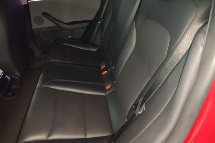 Used Tesla Model 3 2023 Rear-Wheel-Drive Version Left Rear Seat