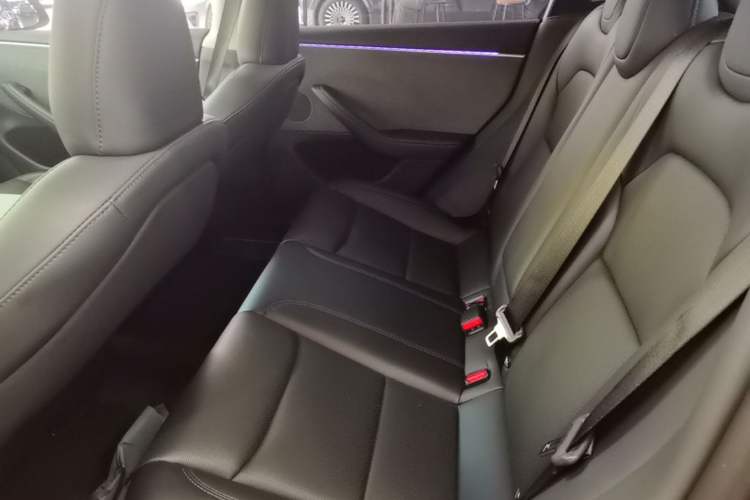 Used Tesla Model 3 2023 Rear-Wheel-Drive Version Left Rear Seat