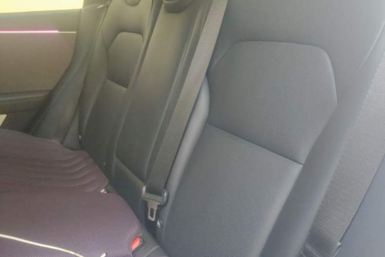 Used Tesla Model 3 2023 Rear-Wheel-Drive Version Left Rear Seat