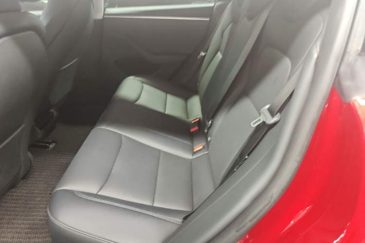 Used Tesla Model 3 2023 Long-Range All-Wheel-Drive Version Left Rear Seat