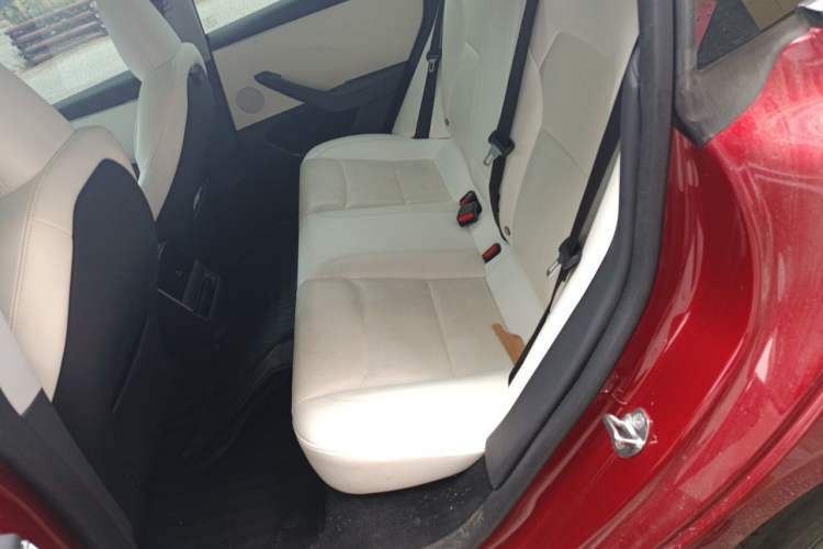 Used Tesla Model 3 2023 Long-Range All-Wheel-Drive Version Left Rear Seat