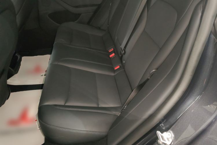 Used Tesla Model 3 2023 Long-Range All-Wheel-Drive Version Left Rear Seat