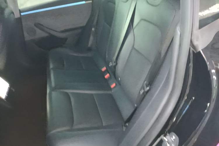 Used Tesla Model 3 2023 Rear-Wheel-Drive Version Left Rear Seat