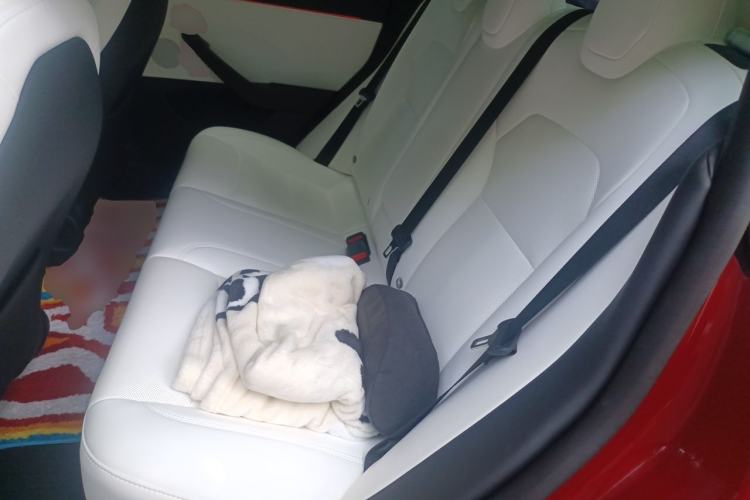 Used Tesla Model 3 2023 Long-Range All-Wheel-Drive Version Left Rear Seat