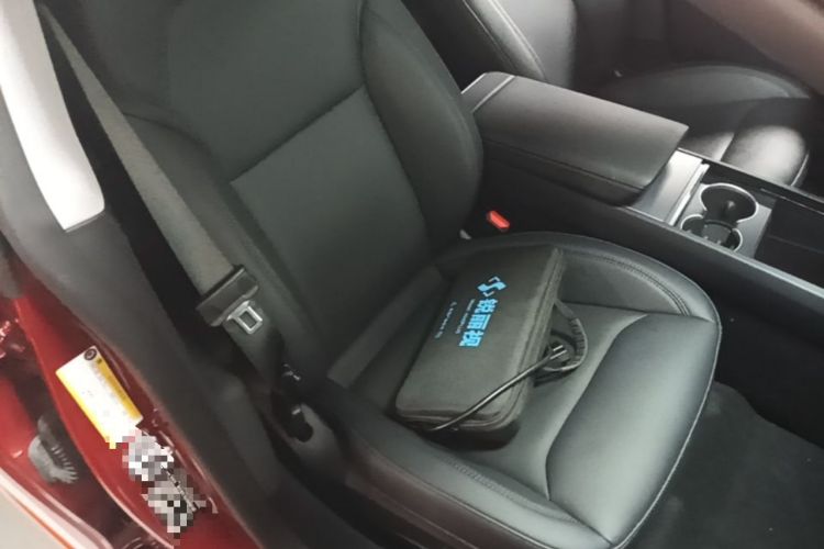 Used Tesla Model 3 2023 Rear-Wheel-Drive Version Right Front Seat