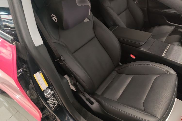 Used Tesla Model 3 2023 Long-Range All-Wheel-Drive Version Right Front Seat