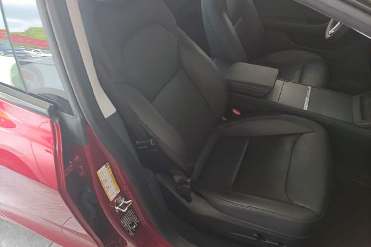 Used Tesla Model 3 2023 Long-Range All-Wheel-Drive Version Right Front Seat