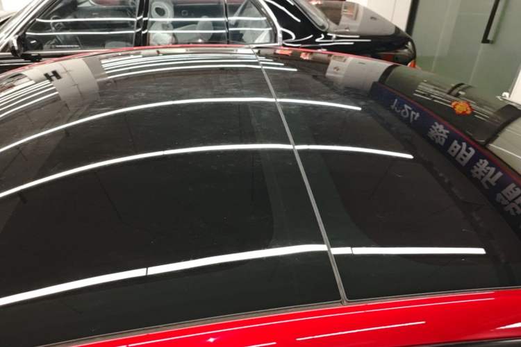 Used Tesla Model 3 2023 Rear-Wheel-Drive Version Roof