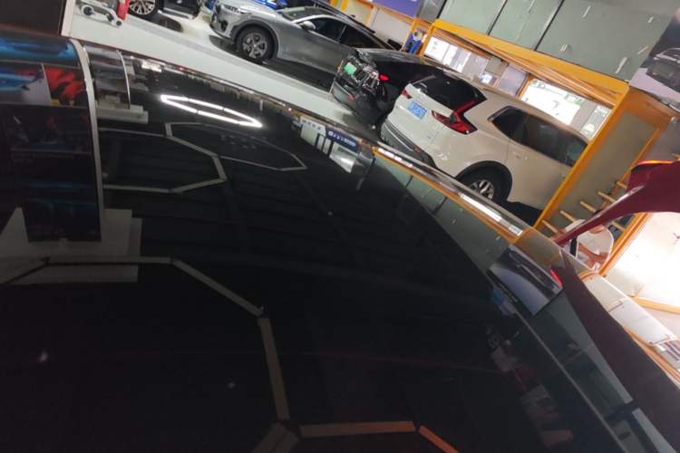 Used Tesla Model 3 2023 Rear-Wheel-Drive Version Roof