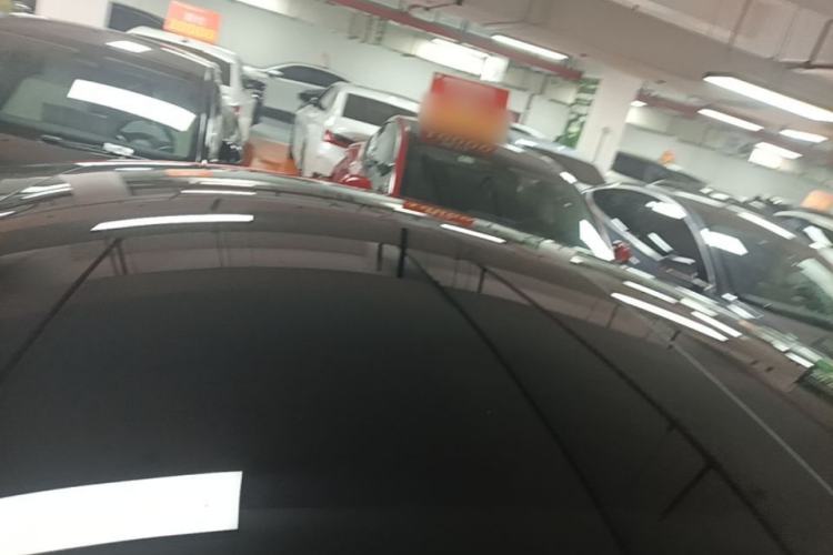 Used Tesla Model 3 2023 Rear-Wheel-Drive Version Roof