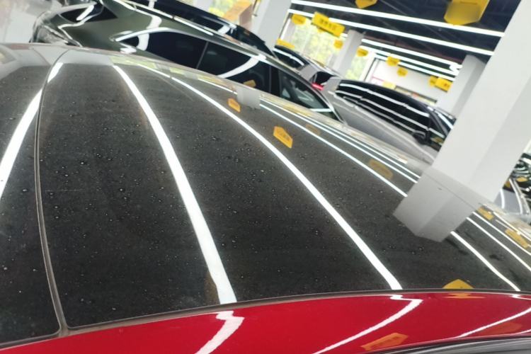 Used Tesla Model 3 2023 Rear-Wheel-Drive Version Roof