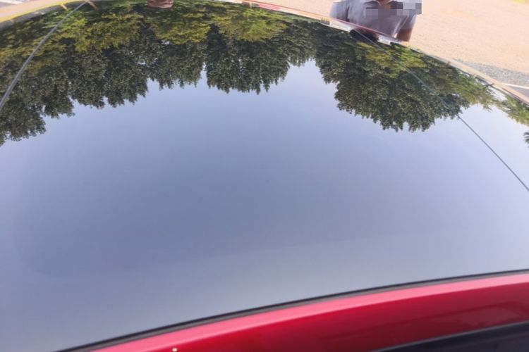 Used Tesla Model 3 2023 Rear-Wheel-Drive Version Roof