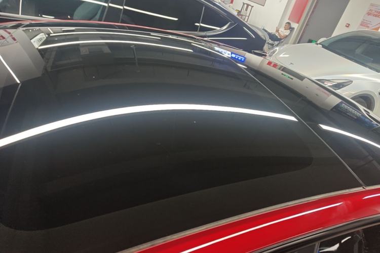 Used Tesla Model 3 2023 Long-Range All-Wheel-Drive Version Roof