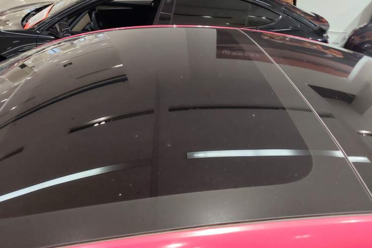 Used Tesla Model 3 2023 Long-Range All-Wheel-Drive Version Roof