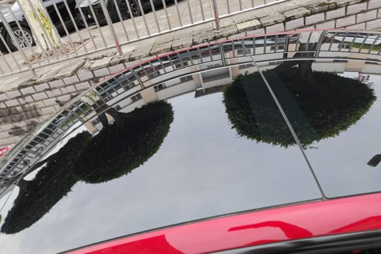 Used Tesla Model 3 2023 Rear-Wheel-Drive Version Roof