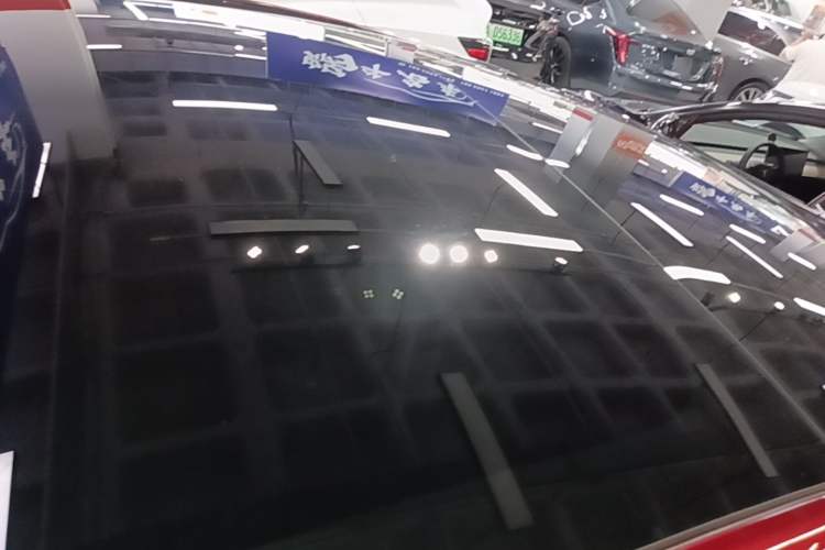 Used Tesla Model 3 2023 Rear-Wheel-Drive Version Roof