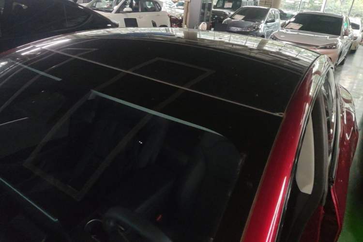 Used Tesla Model 3 2023 Rear-Wheel-Drive Version Roof