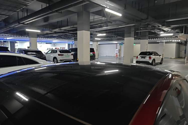 Used Tesla Model 3 2023 Rear-Wheel-Drive Version Roof